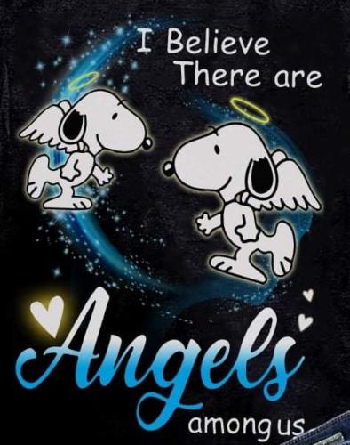 FB_IMG_1636063448528