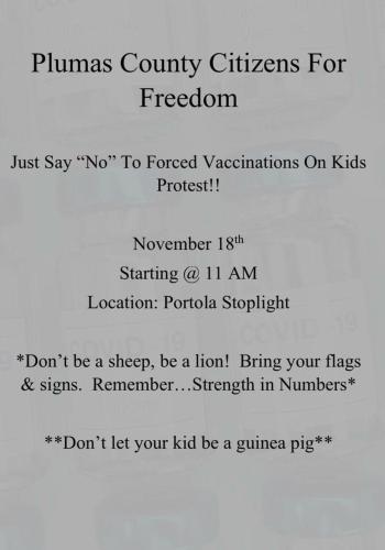 Plumas, CA - Nov 18 - Rally