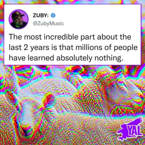 FB_IMG_1637504909198