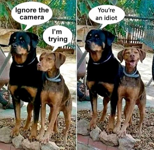 Screenshot_20211115-225628_Facebook