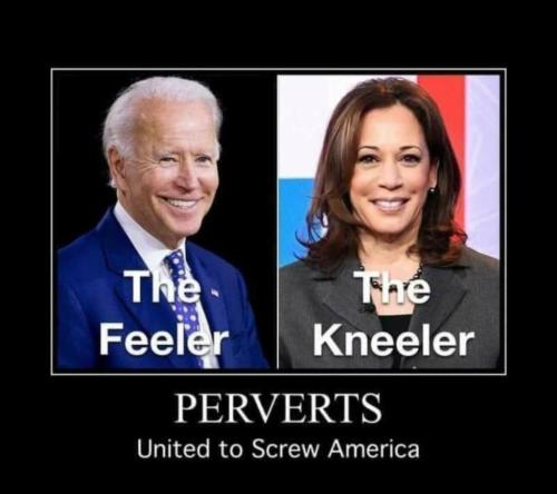 11:30:20 GMT-0500 (EST)