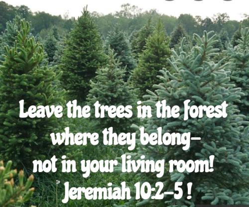 22:32:16 GMT-0900 (AKST)