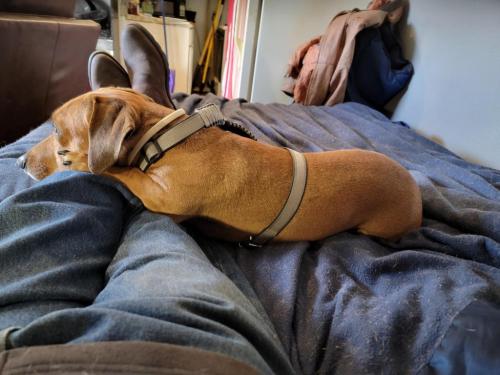 11:59:11 GMT-0600 (CST)