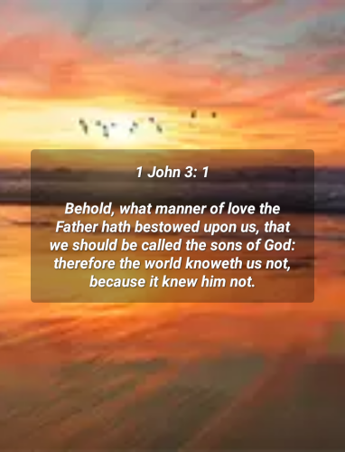10:08:29 GMT-0800