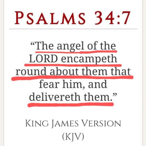 Screenshot_20211117-100242_MeWe~5