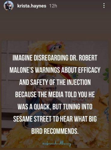 big bird vs the doctor