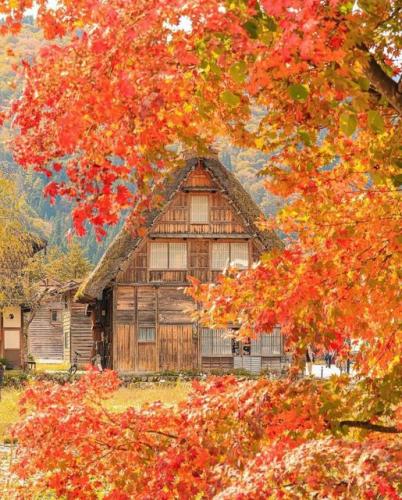 249000543_427558978740110_1225570055675828175_n