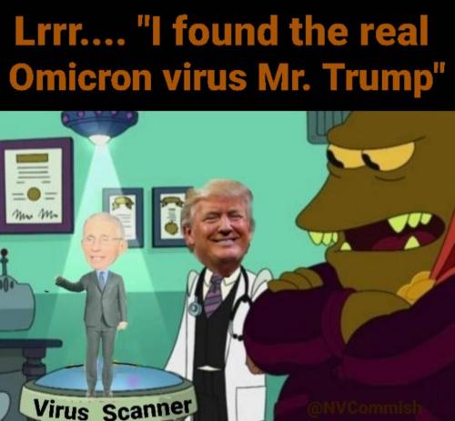 image_1638282691.228