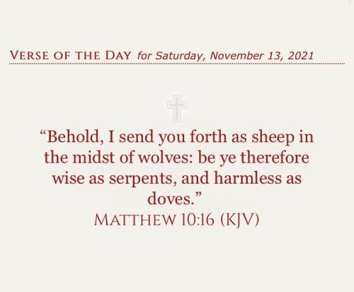 8499A247-96E8-4513-BB09-A43DDC58DF5B