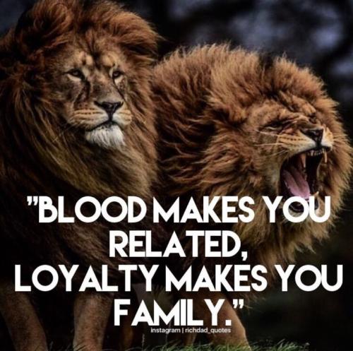 19:49:00 GMT-0500 (CDT)