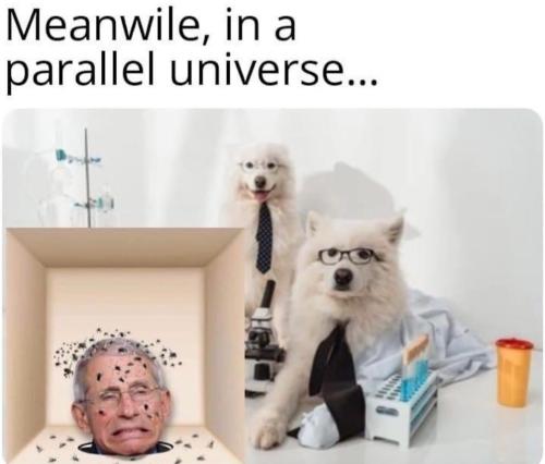 251564635_122860506832014_8592486813032933792_n