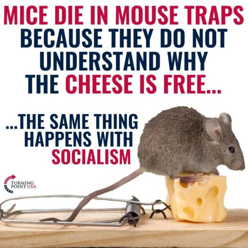 mice f