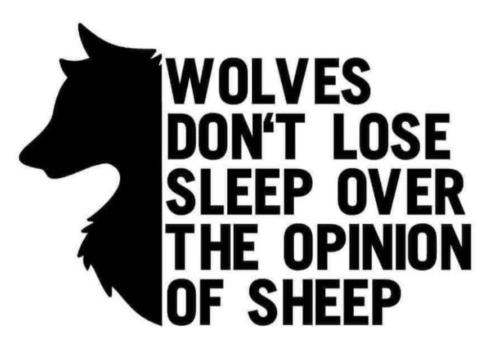 Wolves Don't Lose Sleep Over the opinion of Sheep