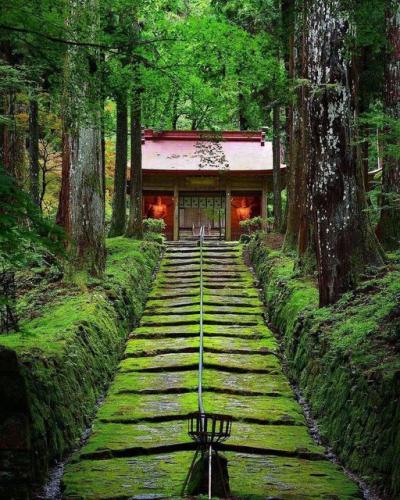 248427944_3073090789628802_1645950659636120023_n