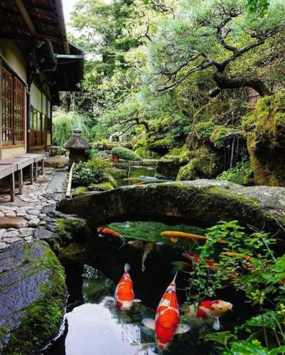 255793541_440551714107503_8358042173600401168_n