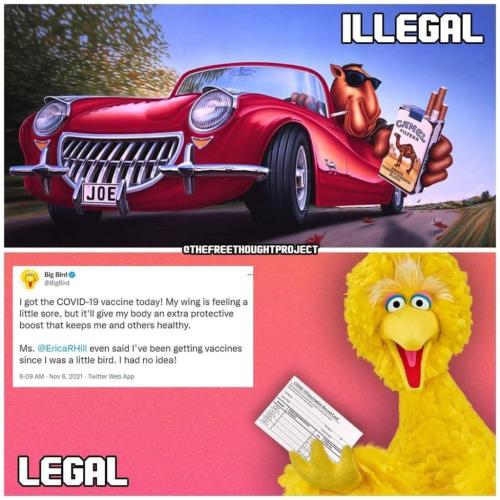 photo_2021-11-13_18-05-18