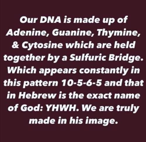 23:28:22 GMT-0600 (CST)