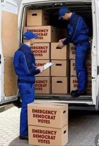 Emergency dem votes