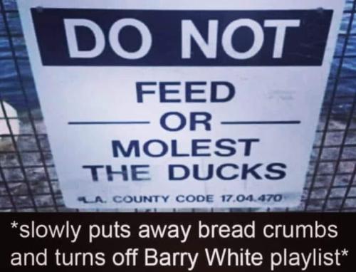 116705223_10224185282289380_3177517660558100867_n