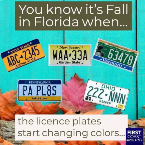 FB_IMG_1637181370023