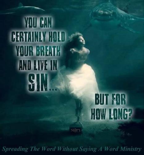 48366263_2091630494252404_2522252478385225728_n