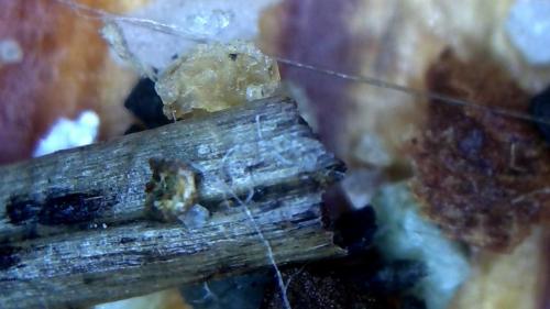 A Pinch of Mat Droppings (6)