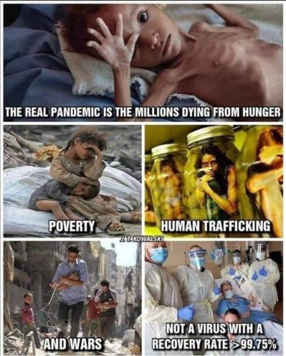 pandemic shit