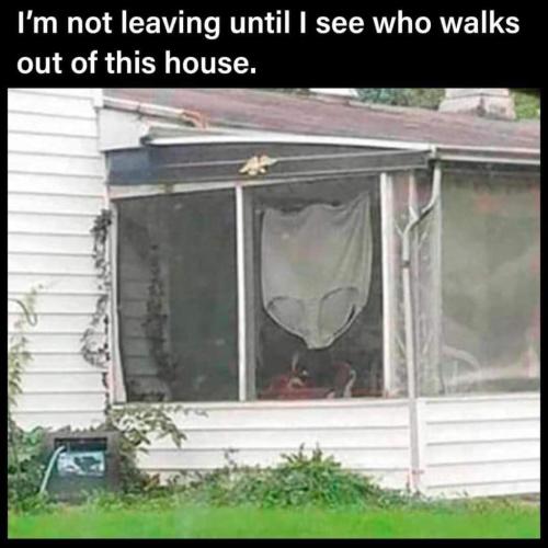 FB_IMG_1638040180605