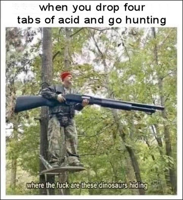 when you drop four tabs of acid and go hunting