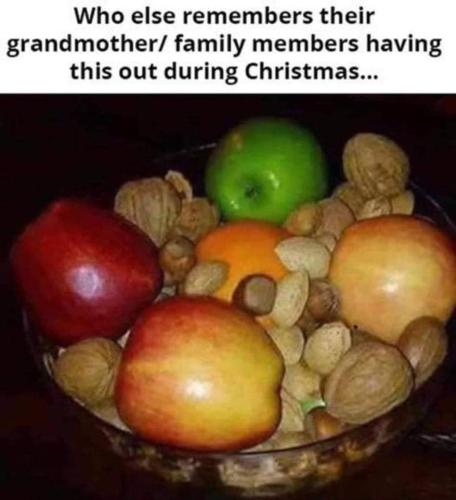 258772696_449721000061062_8203990191512339210_n