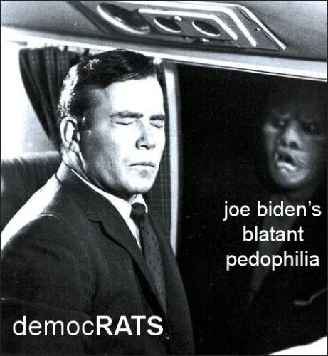 pedo joe05
