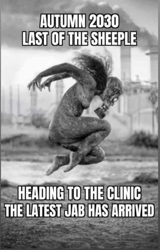 photo_2021-11-02_11-08-04