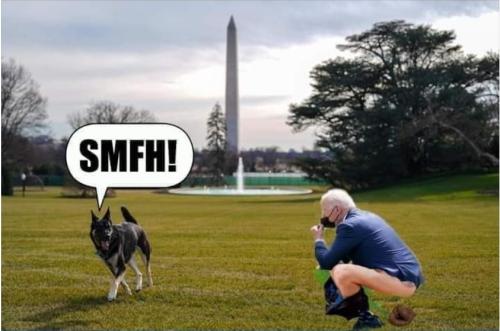 Screenshot_20211114-090502_DuckDuckGo