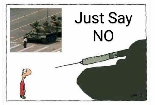 FB_IMG_1636844263181~2