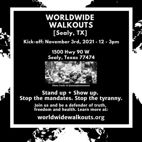 Sealy, Texas - Nov 3