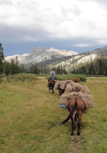 254147232_1444535069265456_3989434806252608015_n