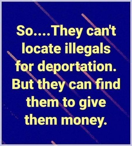 finding_illegals