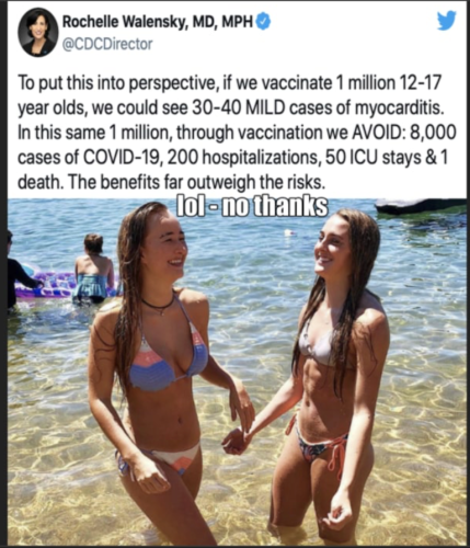 77892a8a145fcecdef4cca44451141fb_500x0