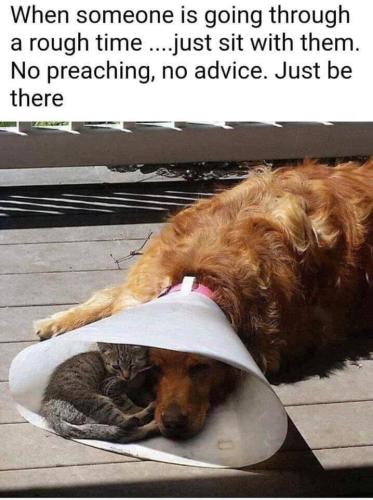 245002385_3045801202368714_2216977715143274885_n