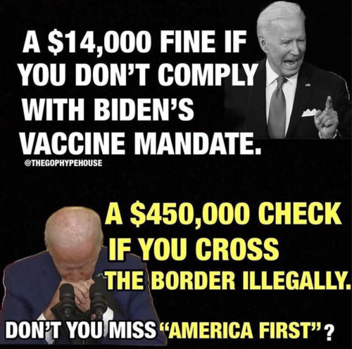 Bidens BS