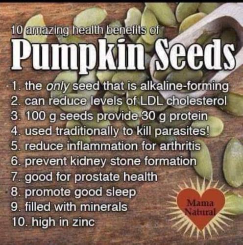 pumpkin seeds