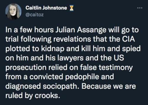 julian assange10