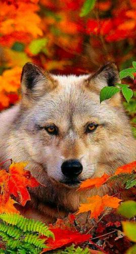 10:20:56 GMT-0600 (CST)