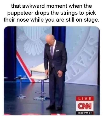 biden795