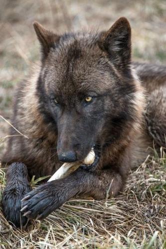 6b31fa8dccf467e7c216c1290a924de5