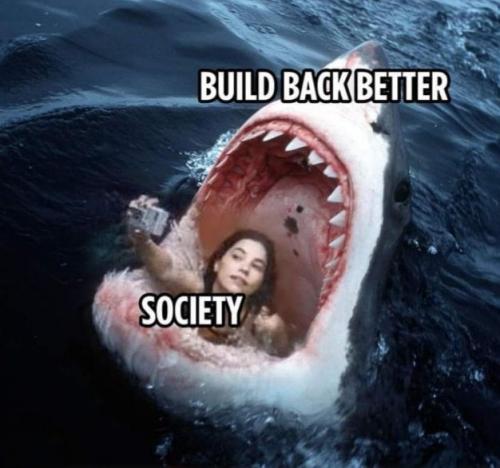buildbackbetter17