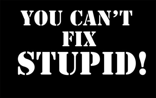 can't_fix_stupid