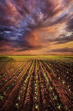 07:39:56 GMT-0600 (CST)