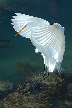 tumblr_m8qam63OQi1rn4t8co1_400