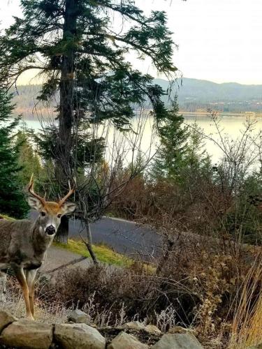 255394521_2137226456442185_1738330730086231197_n